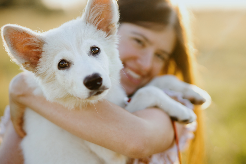 The Importance of Nail Care During Dog Grooming Sessions